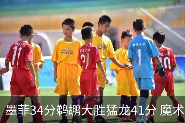 墨菲34分鹈鹕大胜猛龙41分 魔术力克黄蜂4连胜